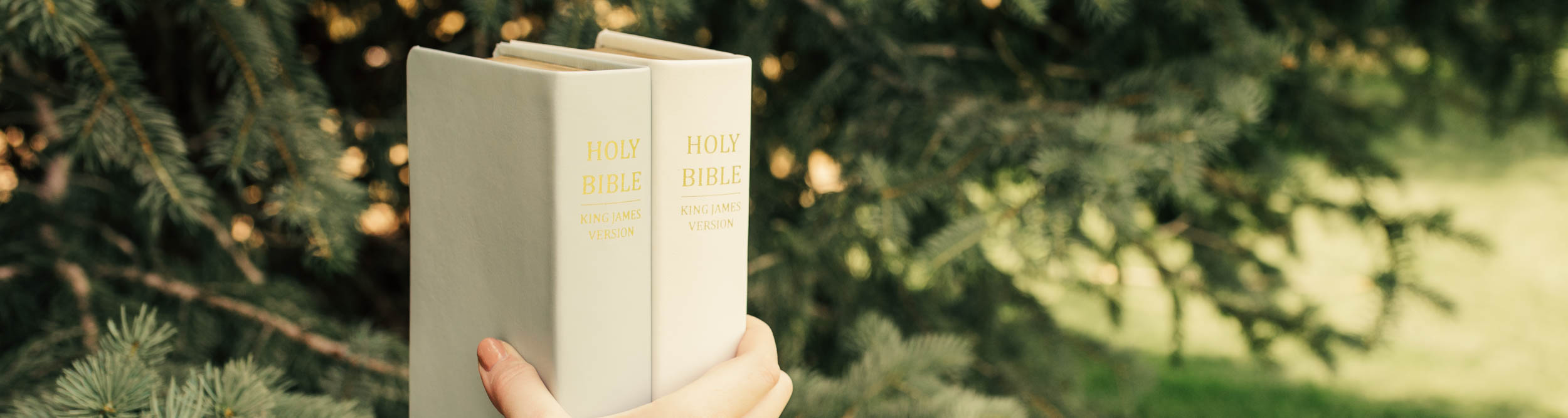 Hand-Bound Bibles