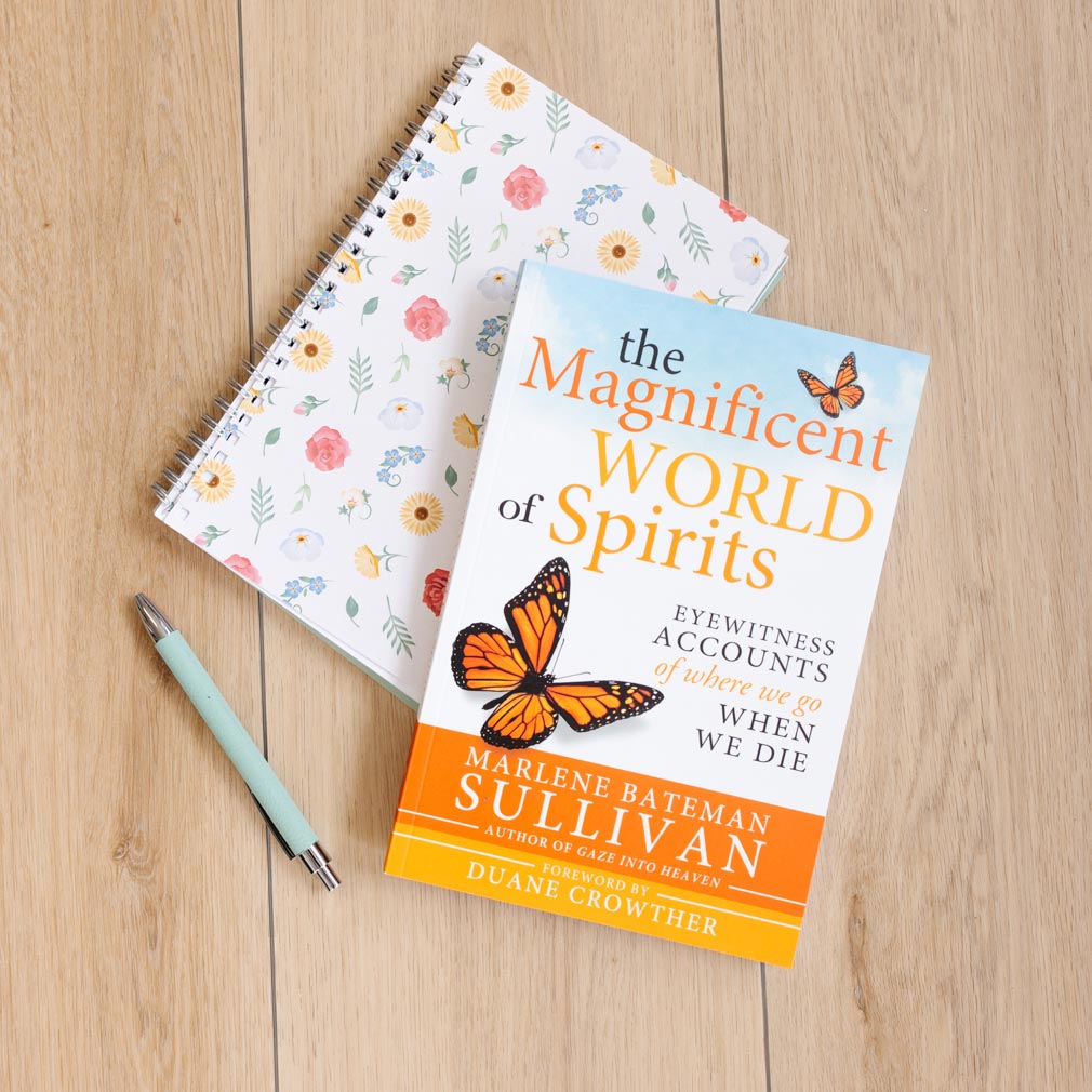 The Magnificent World of Spirits - CF-9781462117789