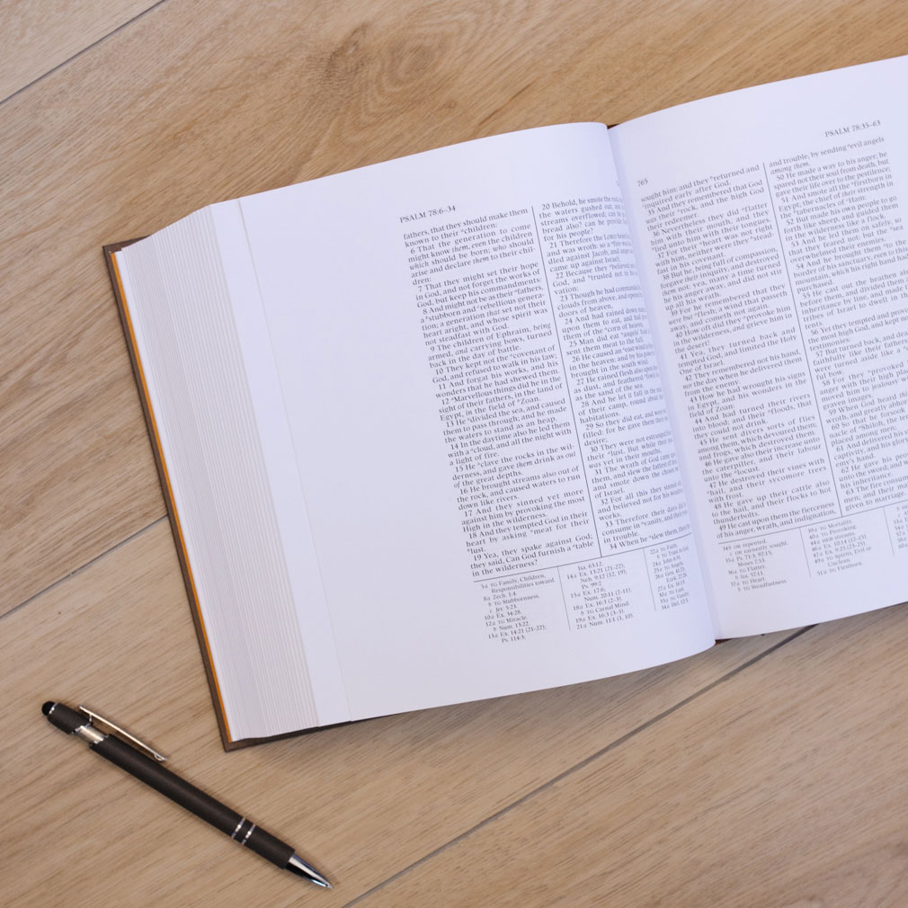 The Old Testament Journal Edition - Brown - DBD-5255077