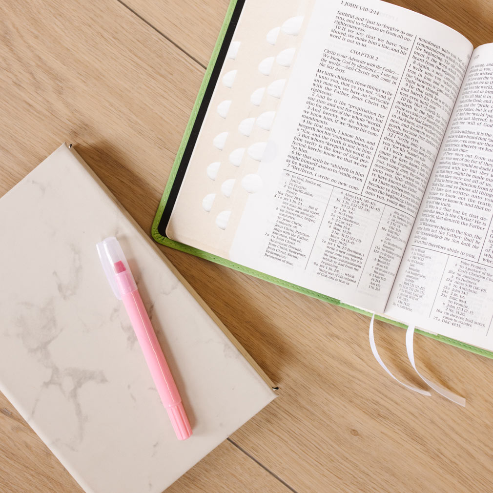 Pink Scripture Gel Highlighter - LDP-GHIG-PNK