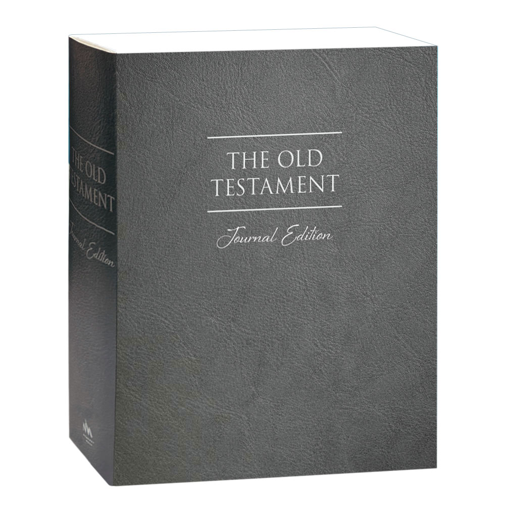 The Old Testament Journal Edition - Gray - DBD-5230627