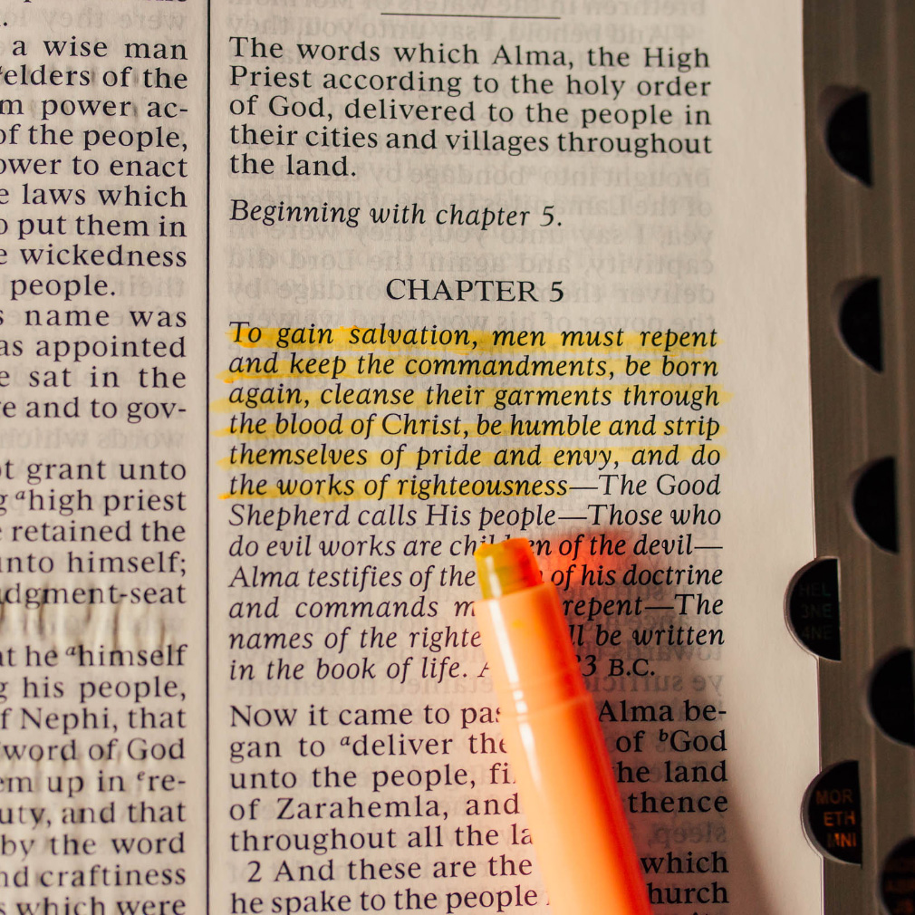 Scripture Gel Highlighters - LDP-GHIG
