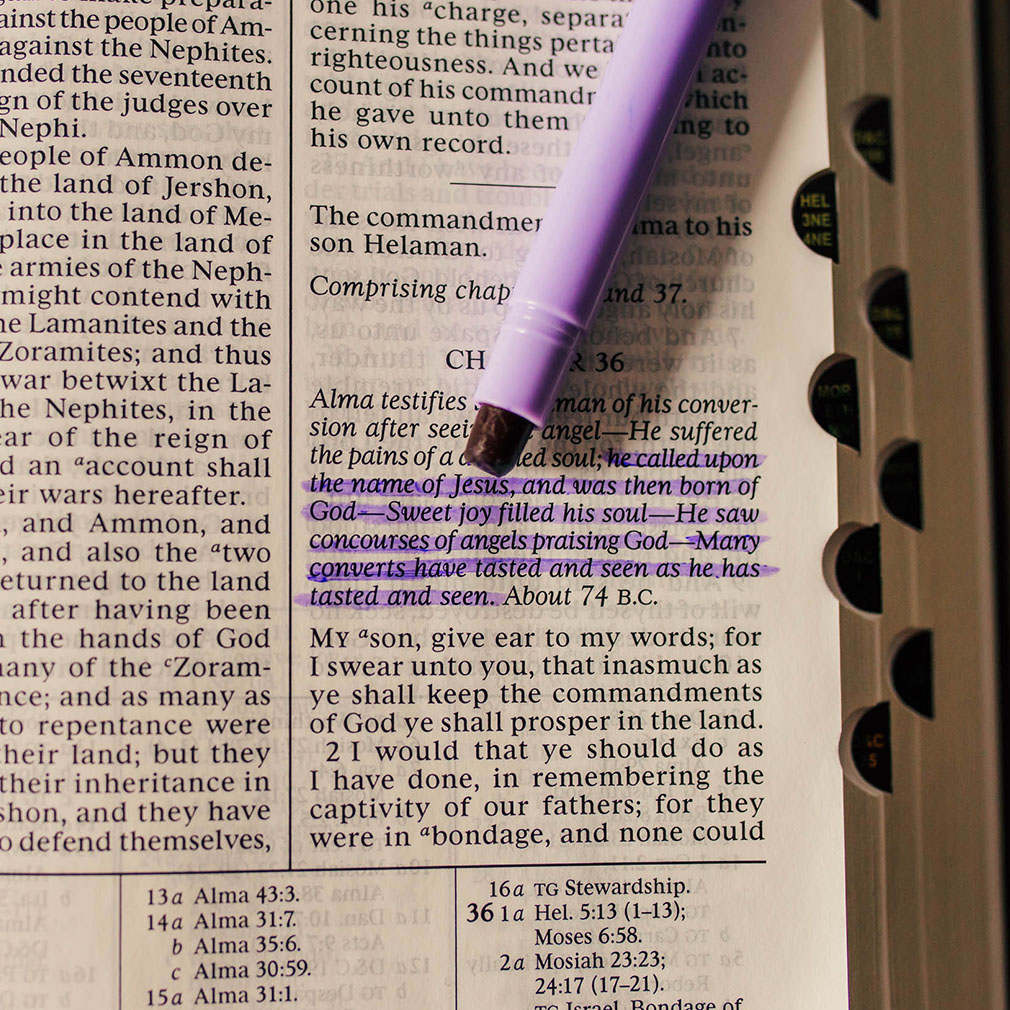 Purple Scripture Gel Highlighter - LDP-GHIG-PURP