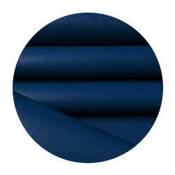 Dark Slate Blue