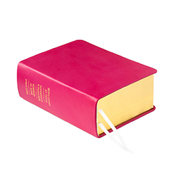 Pre-Made Hand-Bound Genuine Leather Quad - Bright Fuchsia pink lds scriptures, pink quad, pink quad, dark pink scriptures