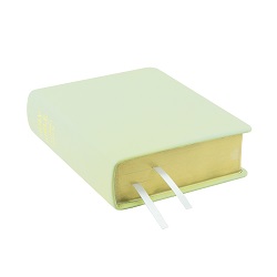 Hand-Bound Genuine Leather Bible - Mint Green